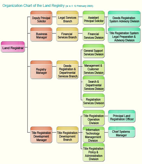 Organization Chart