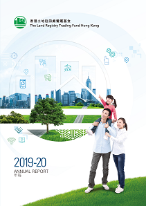 图片关于年报 2019 - 2020